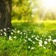 Psiche e Natura, un Incontro Rigenerante